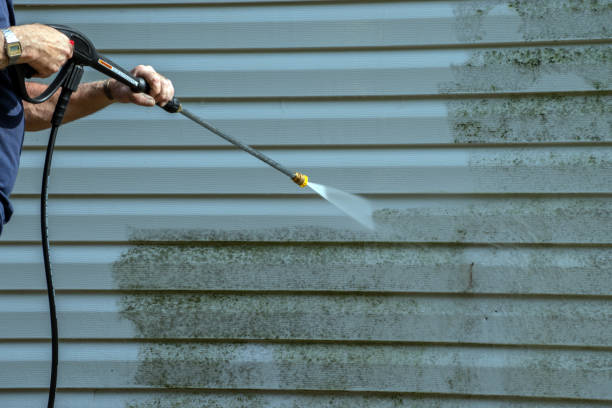 Best Gutter Cleaning  in New Vienna, OH